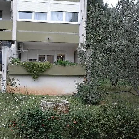 Apartment Moonlight *