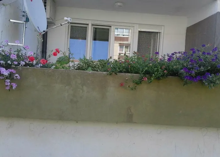 Moonlight שיבניק